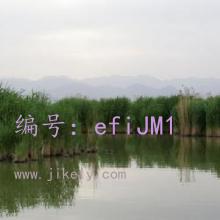 Ŀ