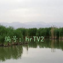 ع