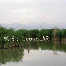 Ŀ